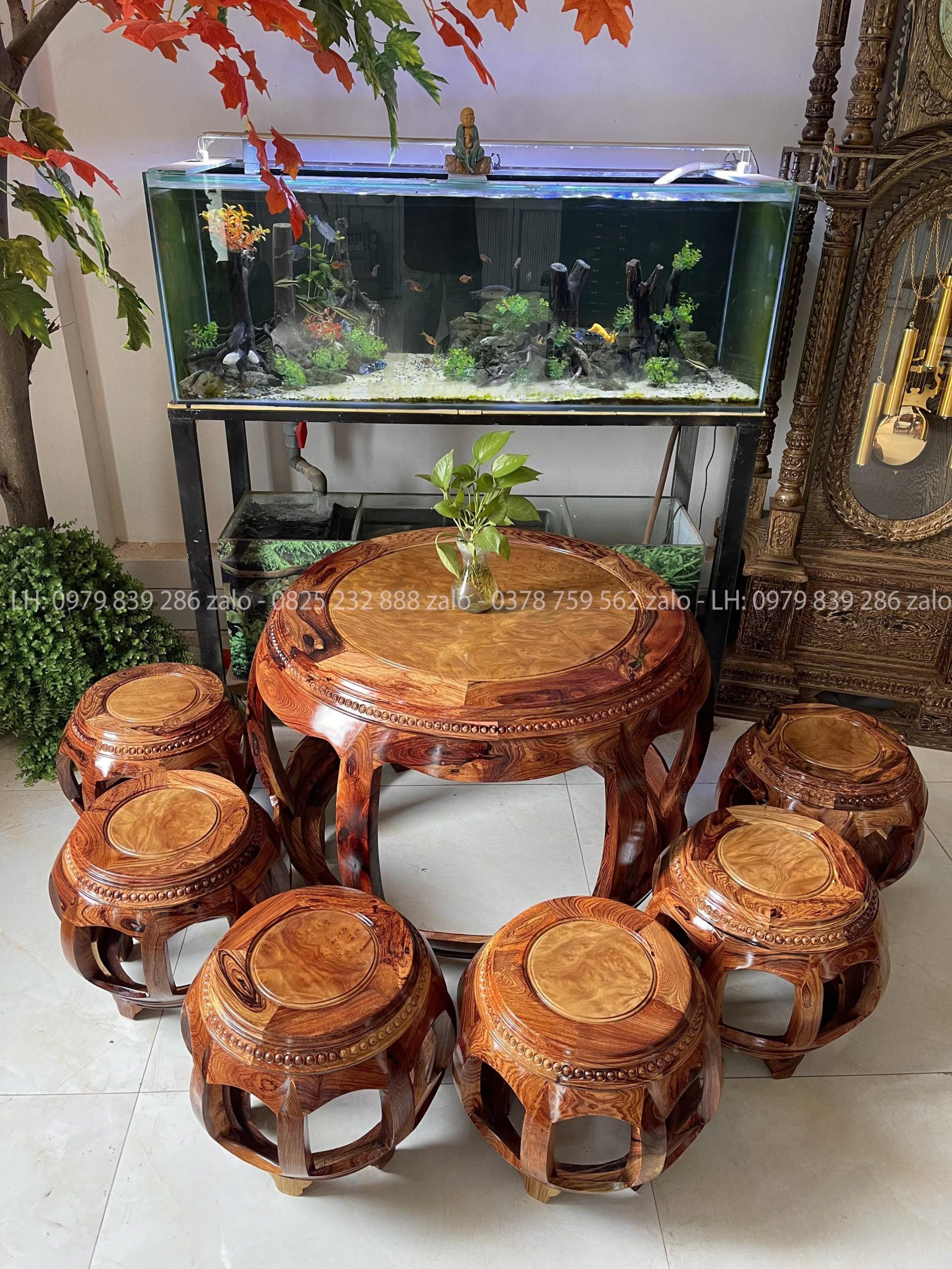 Bộ Nu Trống Gỗ Cẩm Mặt Nu Kháo Vàng