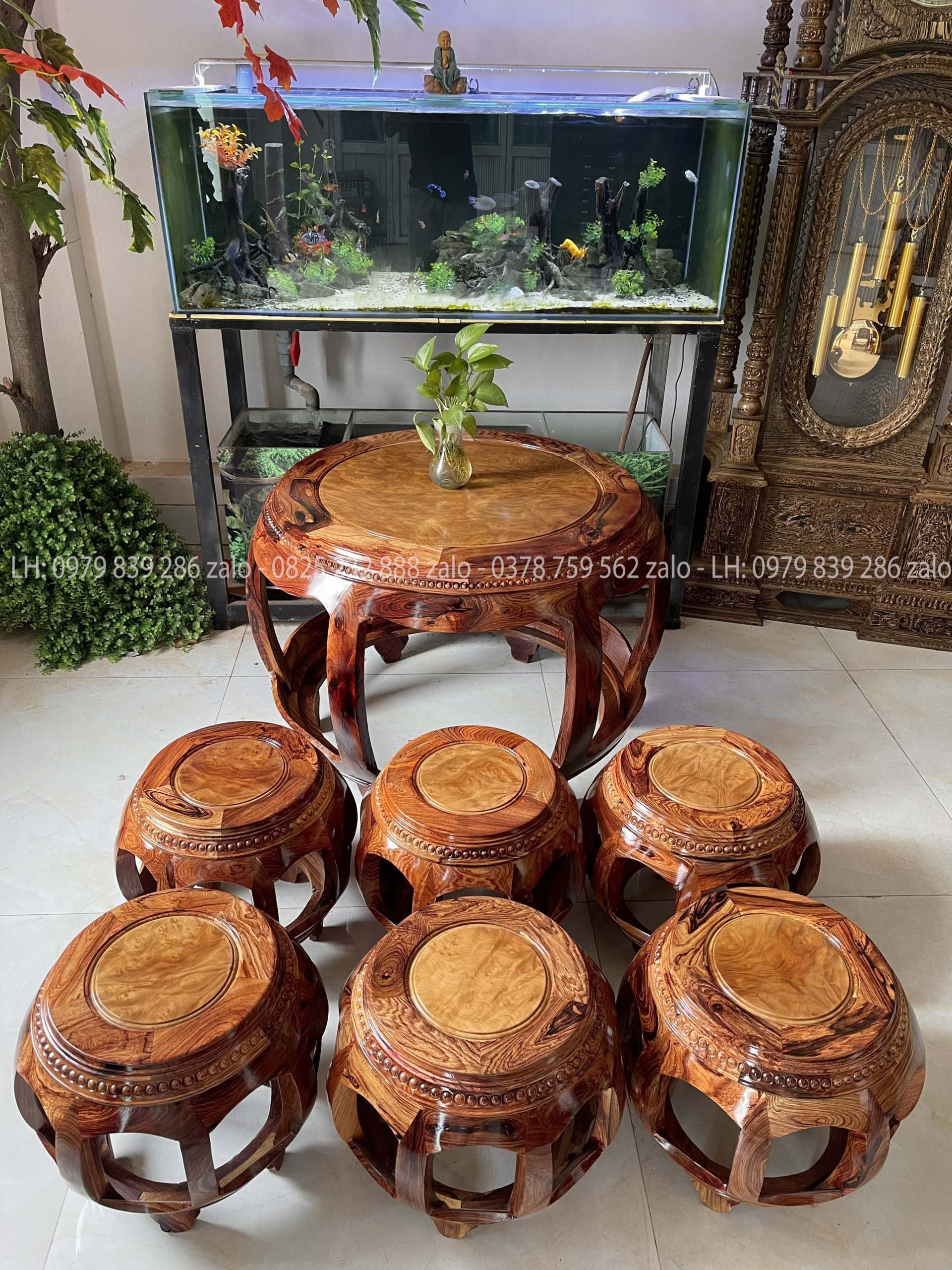 Bộ Nu Trống Gỗ Cẩm Mặt Nu Kháo Vàng