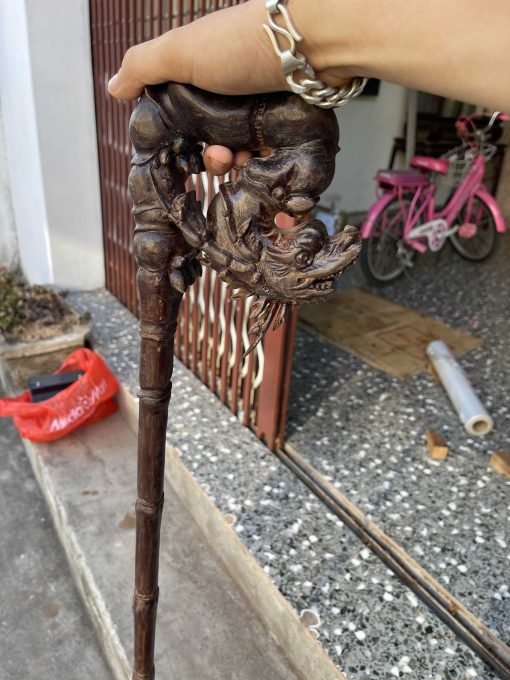 gậy batoong gỗ gụ đục chạm đầu rồng thân trúc