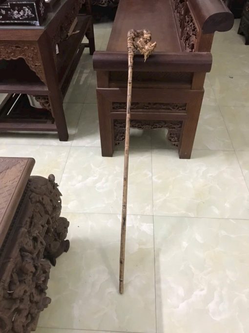 gậy batoong gỗ gụ đục chạm đầu rồng thân trúc