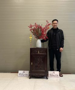 Mẫu Tủ Táp Kê Đồ Đựng Đồ Gỗ Gụ