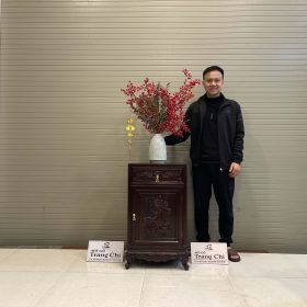 Mẫu Tủ Táp Kê Đồ Đựng Đồ Gỗ Gụ